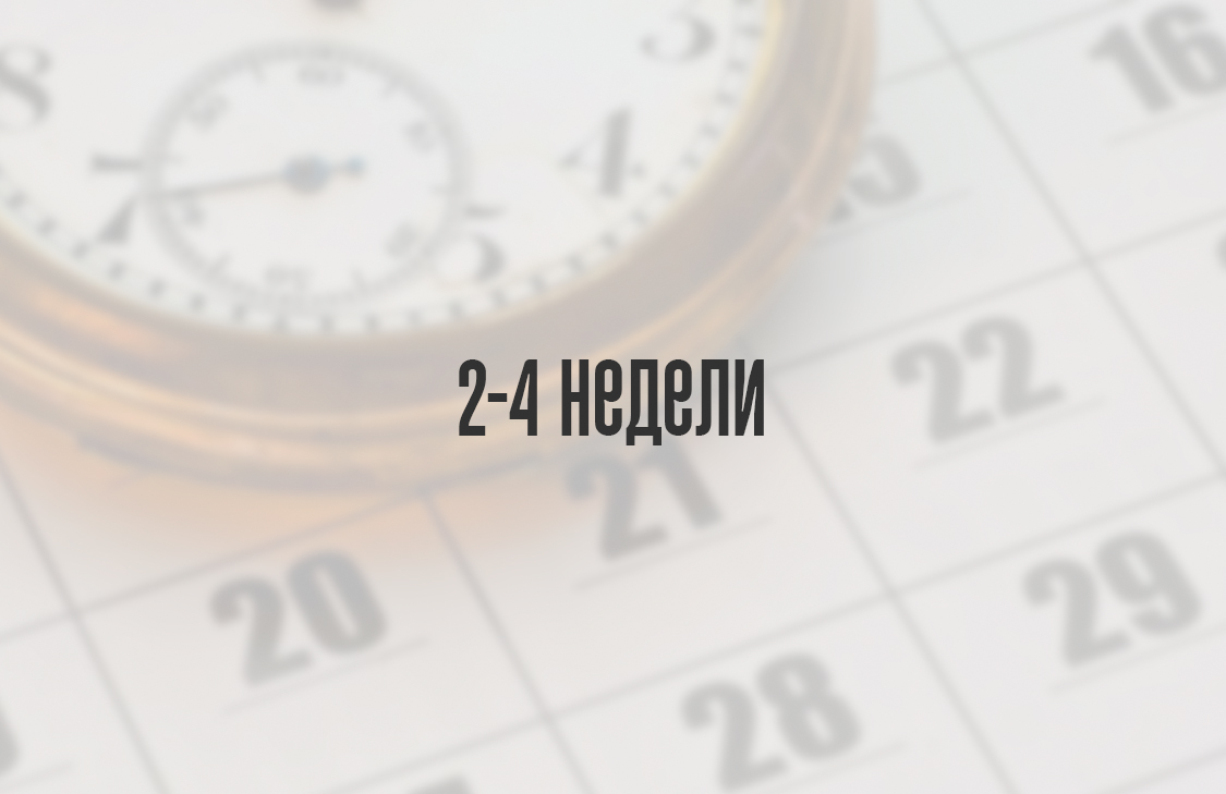 2-4 недели